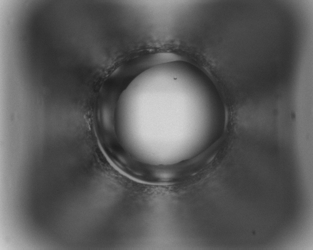 X0000042230770200411232105.png