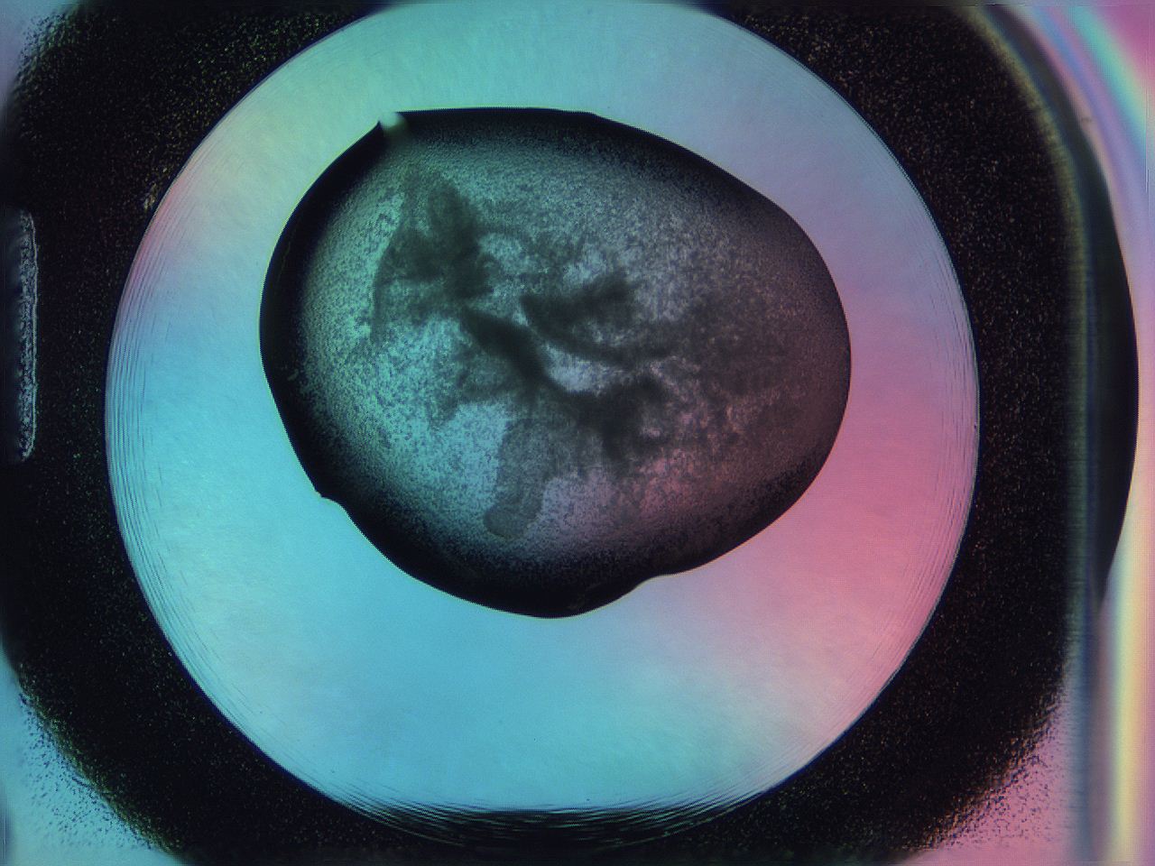 0584_H2_ImagerDefaults_1.jpg