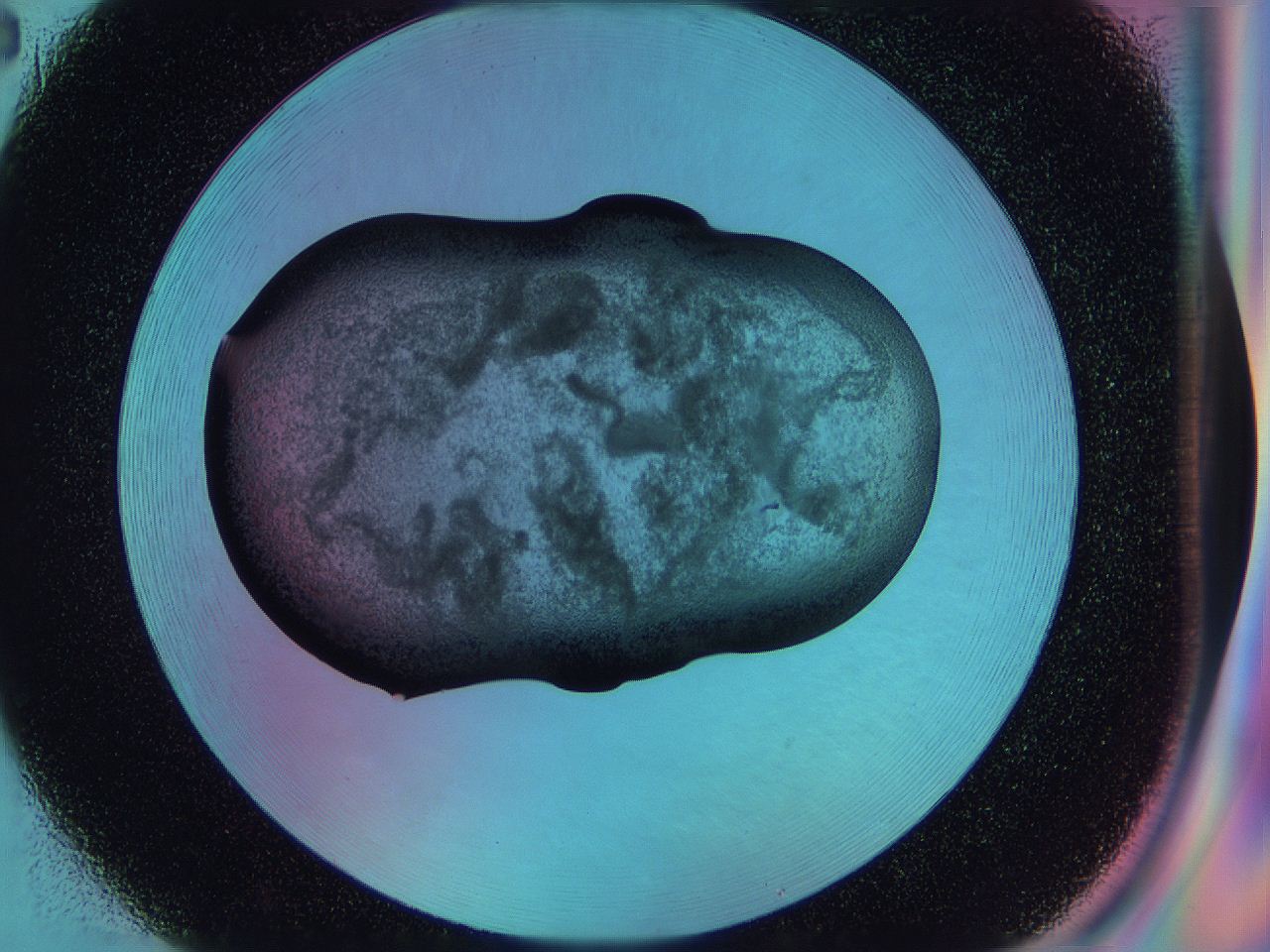 0584_H2_ImagerDefaults_3.jpg