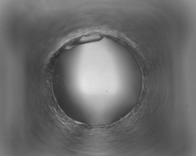 X0000055211496200508301308.png