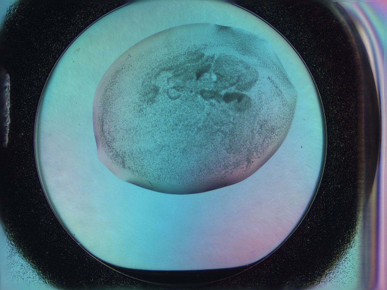 0584_H4_ImagerDefaults_3.jpg