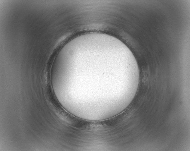 X0000054330636200508111920.png