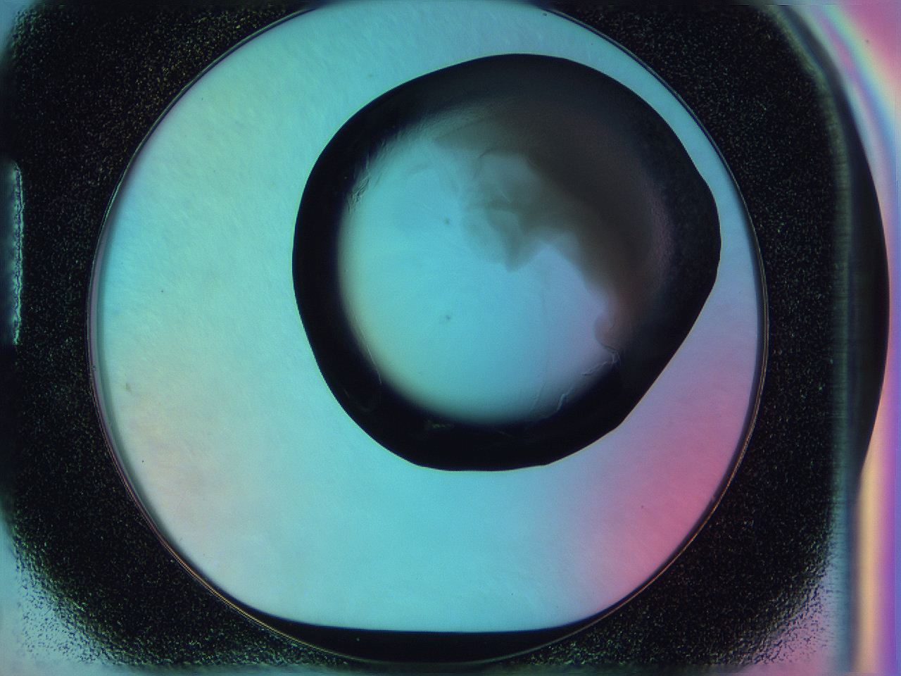 0584_H5_ImagerDefaults_3.jpg