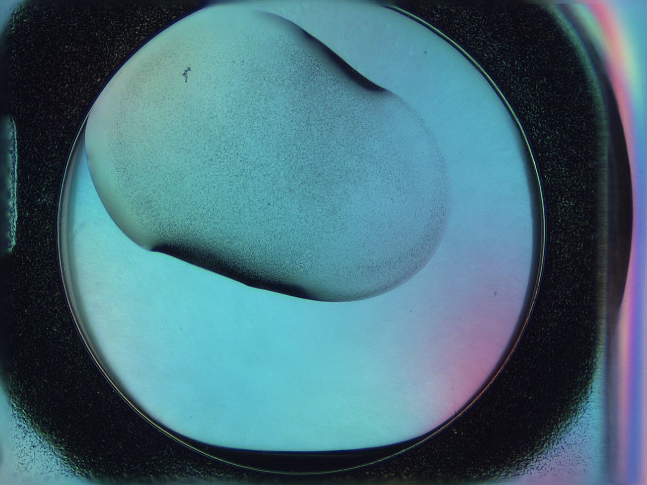 0584_H6_ImagerDefaults_2.jpg
