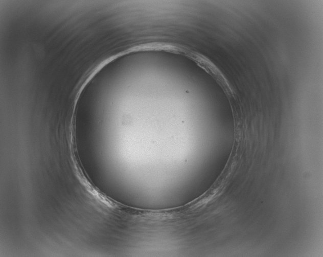 X0000055210860200508301320.png