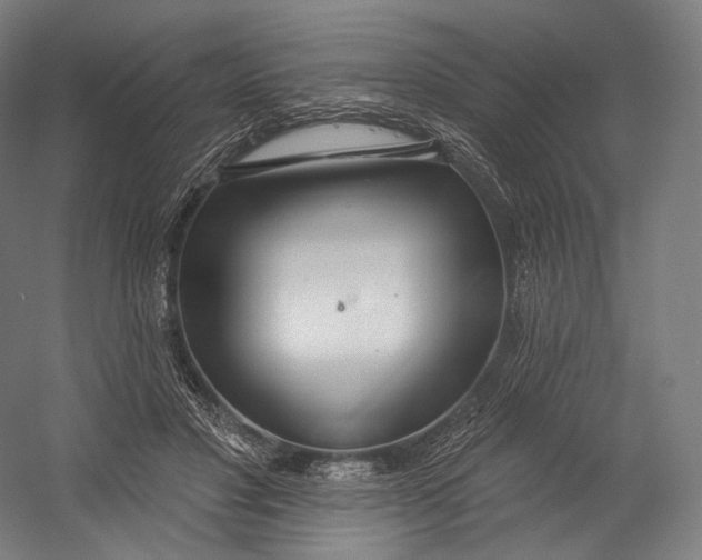 X0000055210501200508301325.png