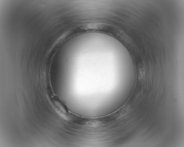X0000054330444200508111923.png