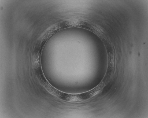 X0000054650507200508091645.png