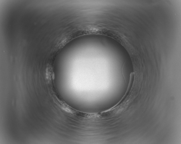 X0000055060576200508161649.png