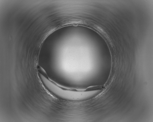 X0000055211377200508301310.png