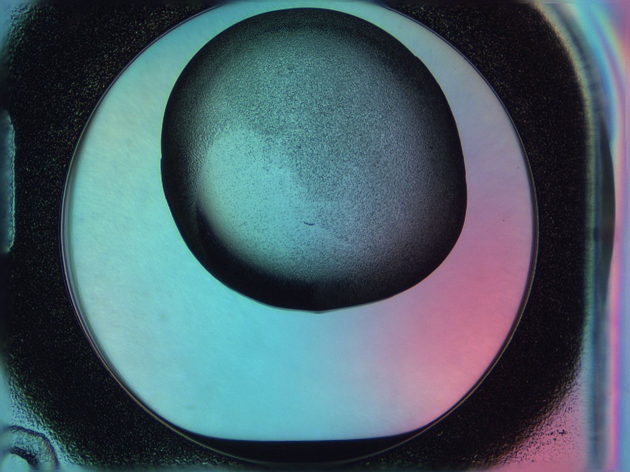 0584_H10_ImagerDefaults_3.jpg