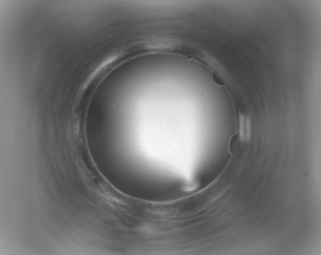 X0000054330723200508111918.png