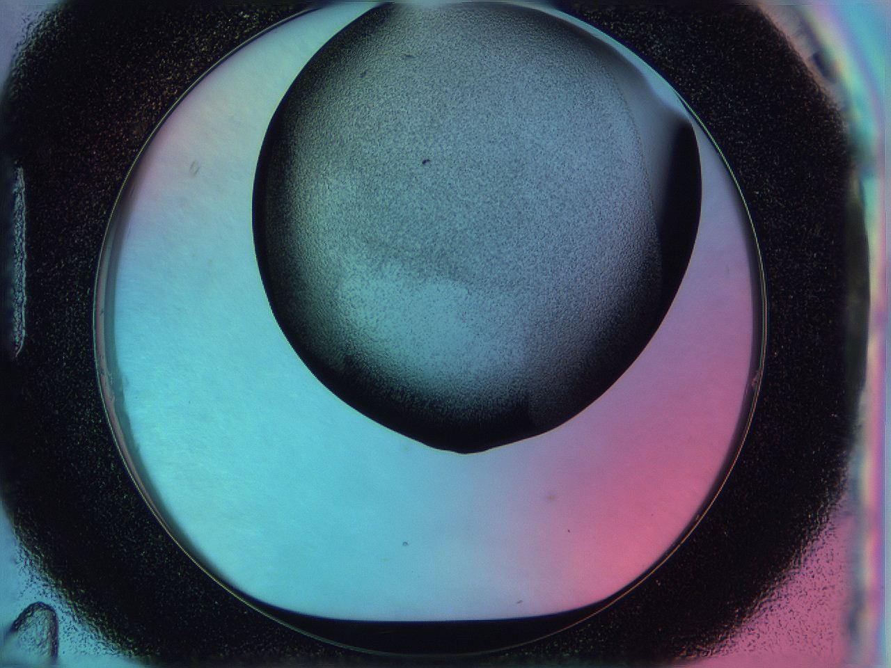 0584_H11_ImagerDefaults_3.jpg