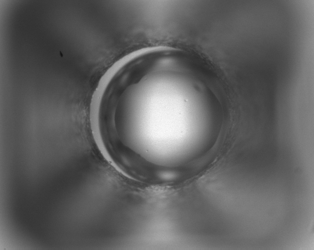 X0000052450480200507211319.png