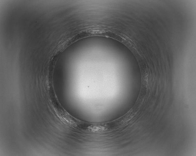 X0000055210512200508301325.png