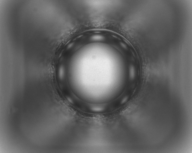 X0000040730317200410201658.png