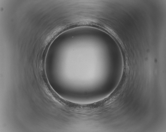 X0000054650485200508091645.png