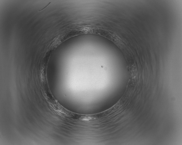 X0000055210611200508301323.png