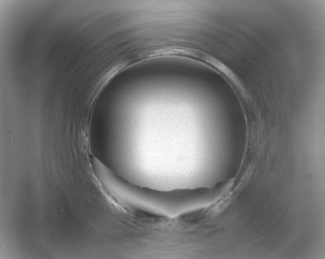 X0000054330809200508111917.png