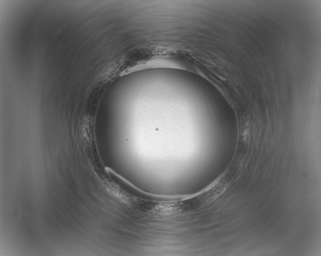 X0000055060280200508161653.png