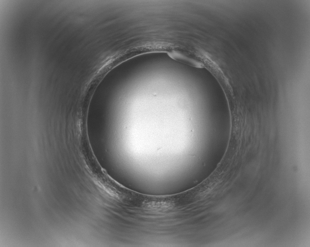 X0000055060063200508161656.png