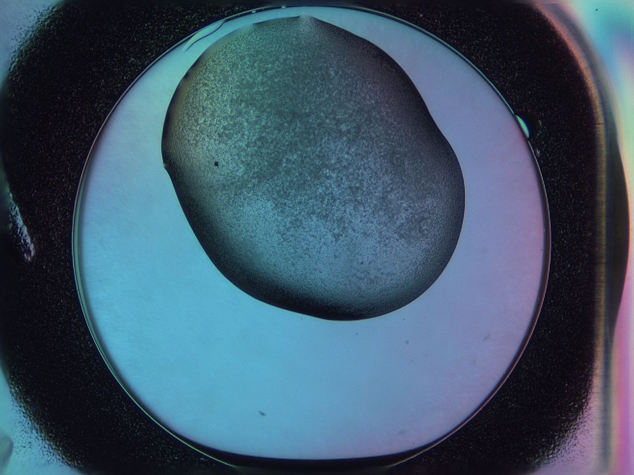 0585_A7_ImagerDefaults_3.jpg