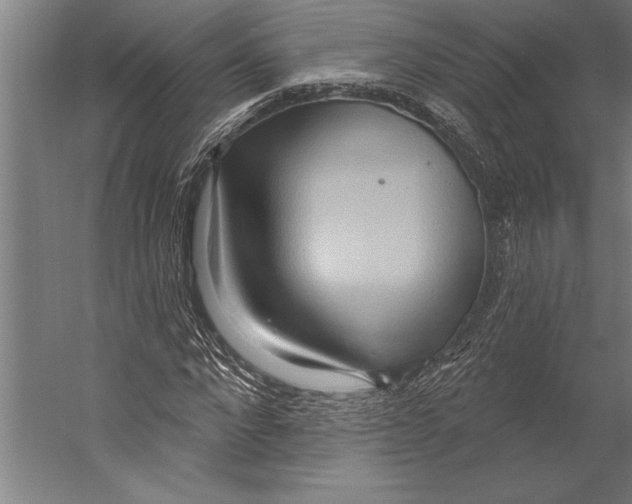 X0000055250872200509071613.png