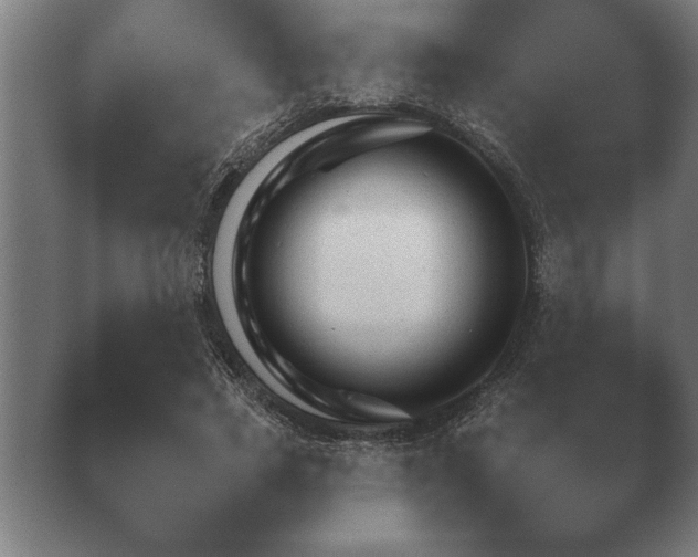X0000040560733200411021428.png