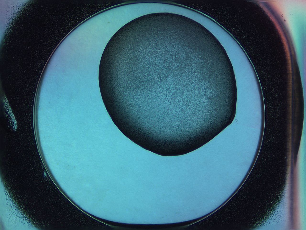 0585_A9_ImagerDefaults_3.jpg