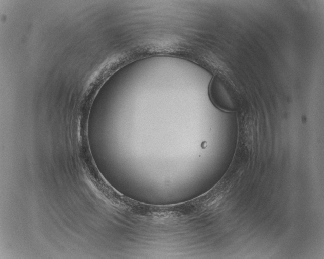 X0000054650686200508091642.png