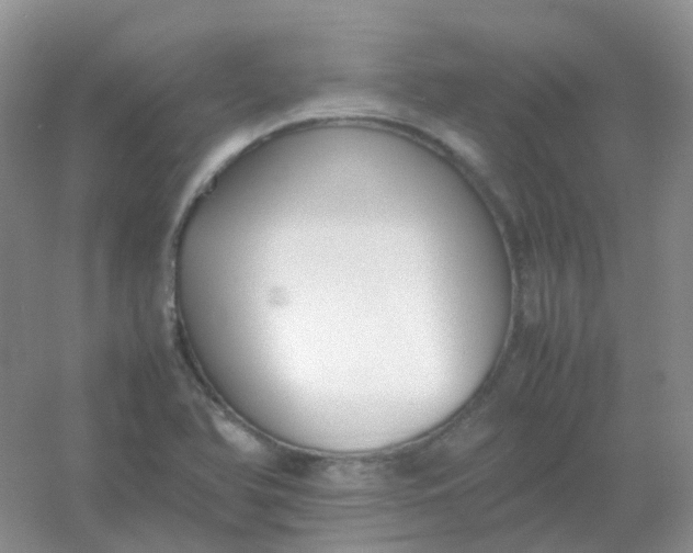 X0000054331366200508111908.png