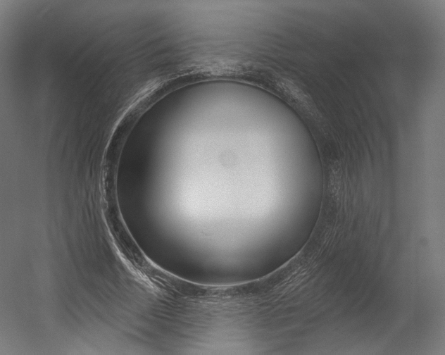 X0000055210730200508301321.png