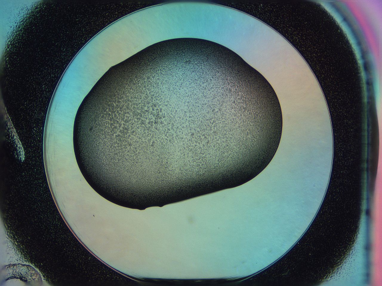 0585_A12_ImagerDefaults_3.jpg