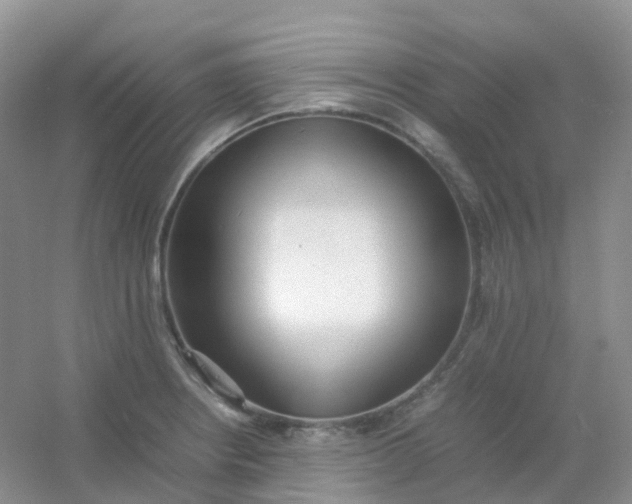 X0000054331234200508111910.png