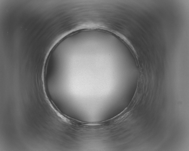 X0000055211343200508301312.png
