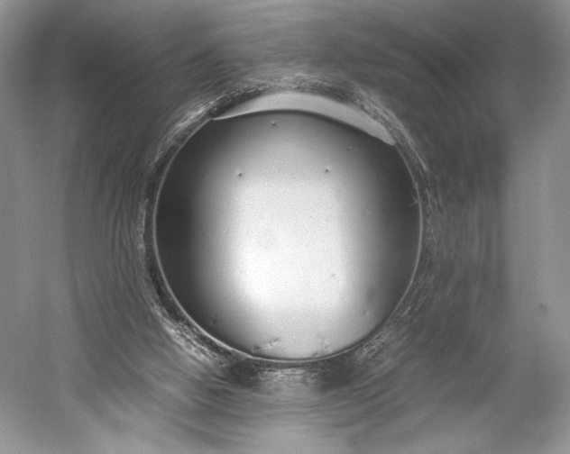 X0000055060058200508161656.png