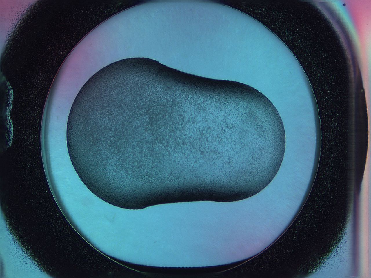 0585_B4_ImagerDefaults_3.jpg