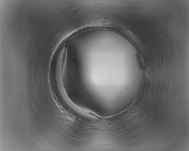 X0000055250724200509071614.png