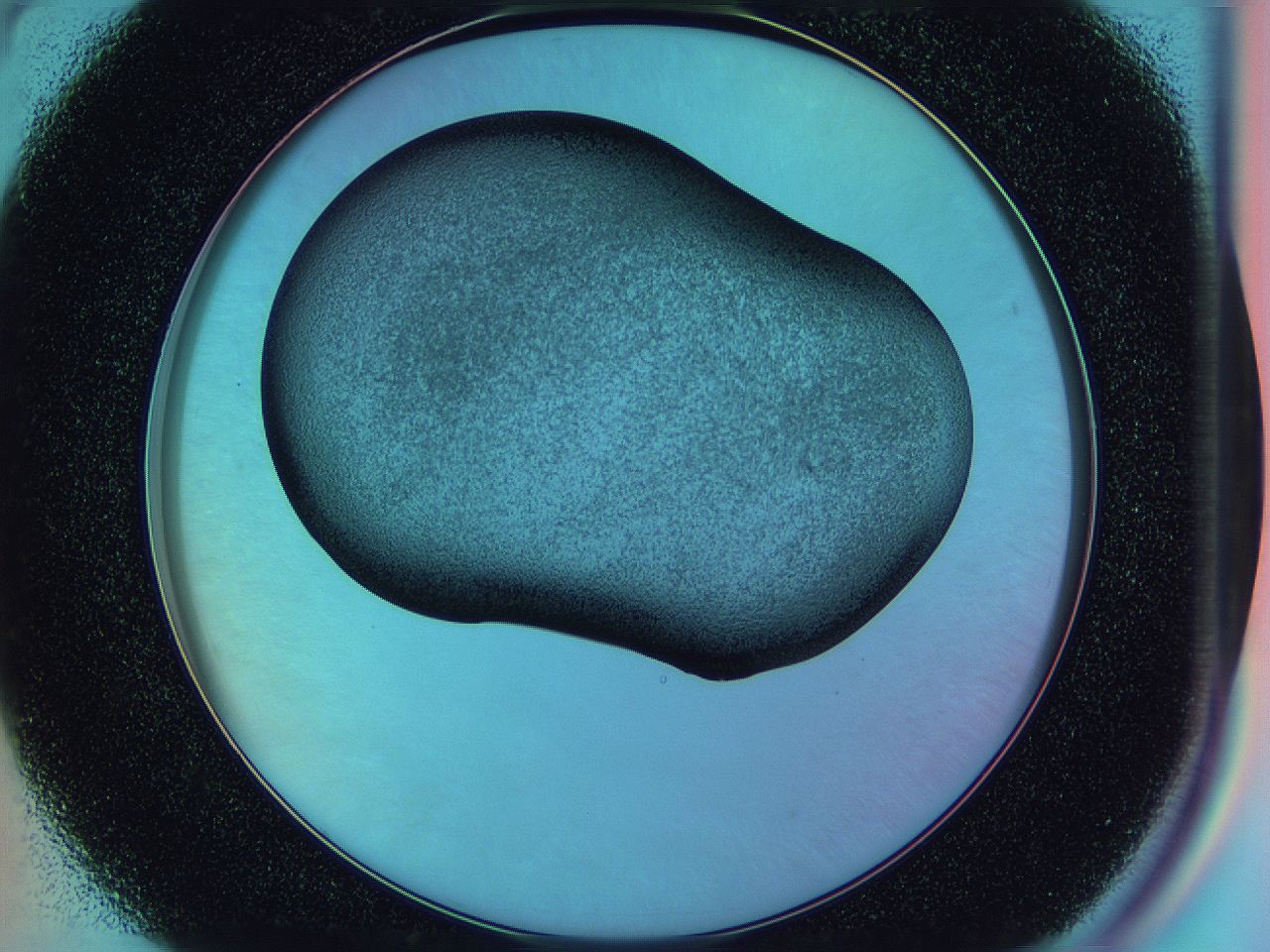 0585_B4_ImagerDefaults_2.jpg