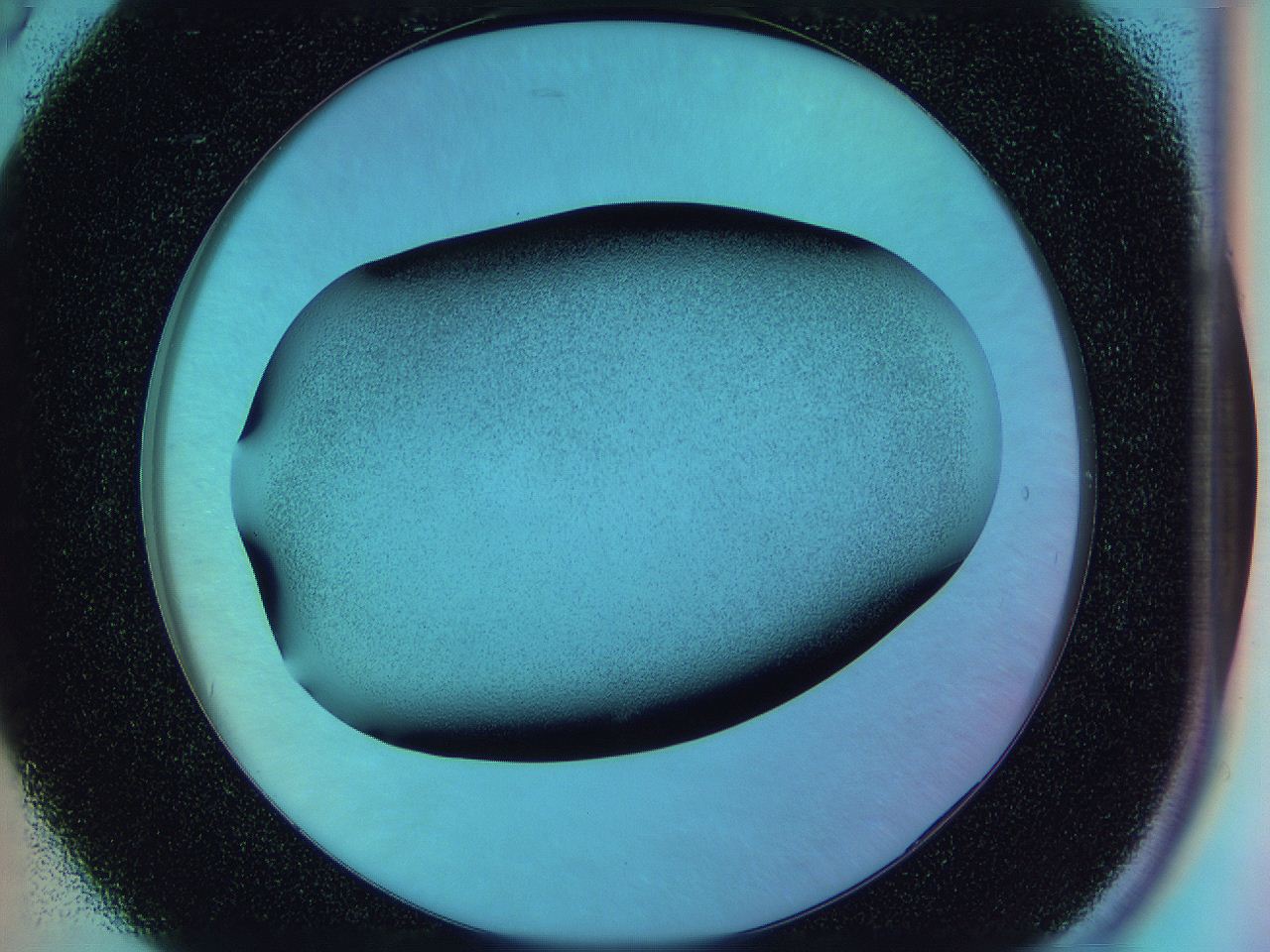 0585_B5_ImagerDefaults_2.jpg