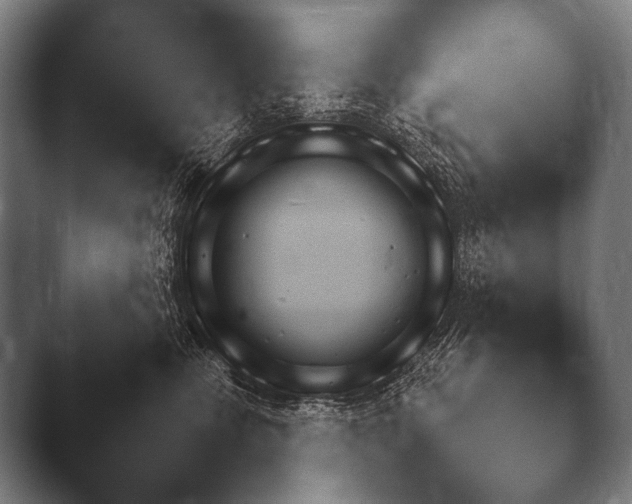 X0000044400475200412290436.png