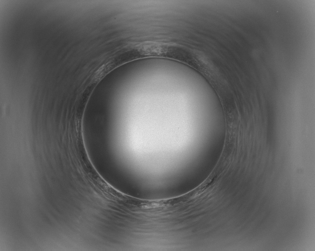X0000055210125200508301332.png