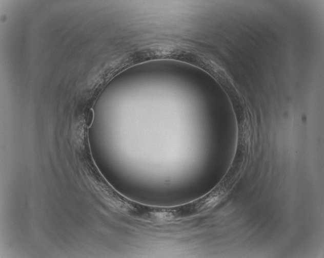 X0000054650509200508091645.png