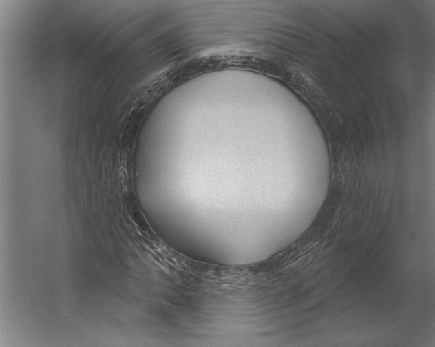 X0000055251062200509071609.png
