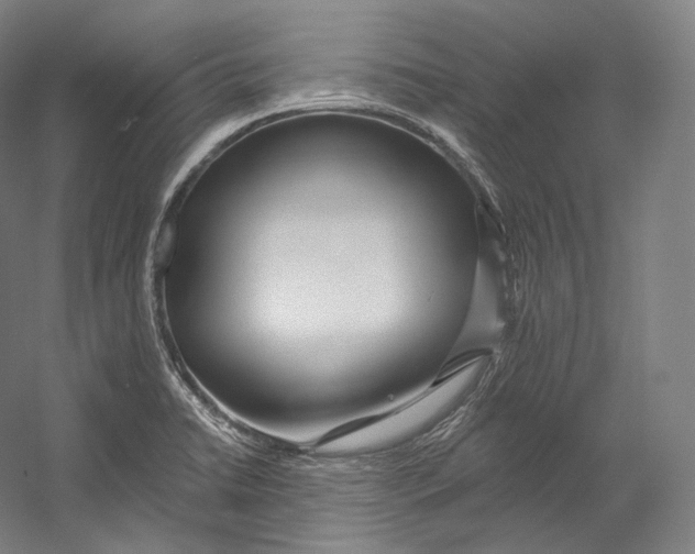 X0000055211422200508301310.png