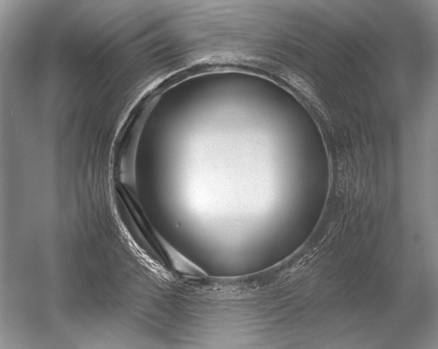 X0000055060976200508161641.png