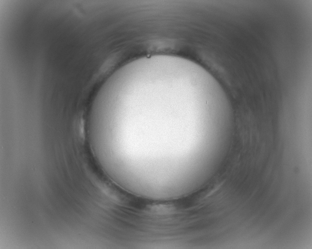 X0000054330067200508111930.png