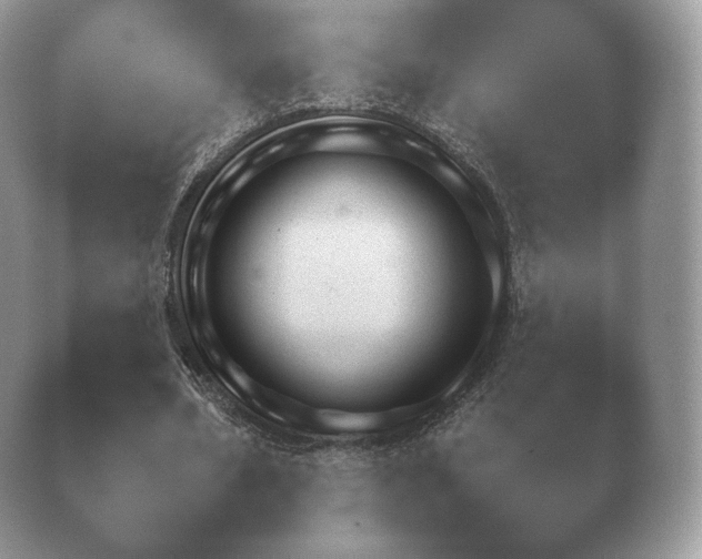 X0000040730578200410201654.png