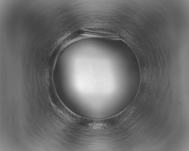 X0000055060448200508161650.png
