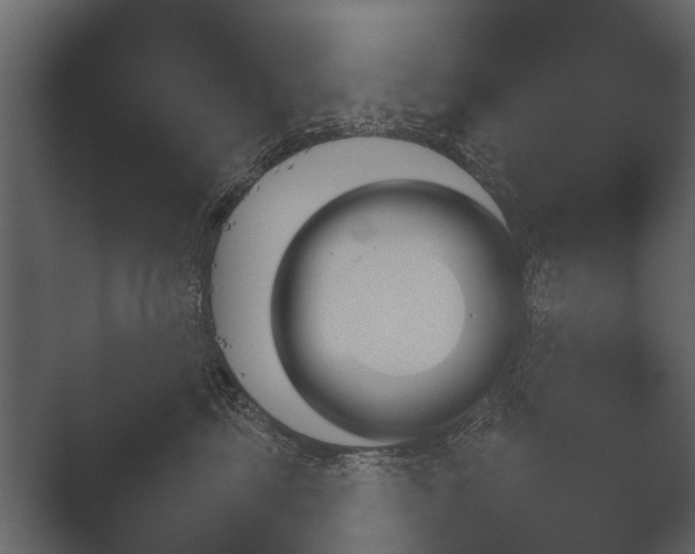 X0000051540713200506281739.png